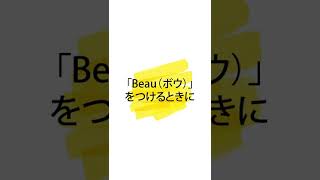 すぐに使える外国語「きれい」【#75 ボウ】 #shorts #外国語 #国際交流 #語学 #語学留学 #海外旅行 #留学 #外国語学習 #フランス #フランス語  #フランス旅行 #Beau