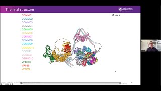 Structure of Commander complex mutated in RSS:combining crystallography, cryoEM \u0026 AlphaFold2