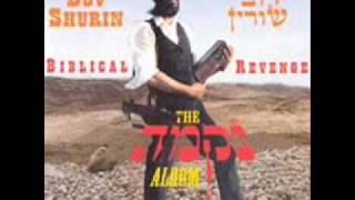 לעשות נקמה - דב שורין