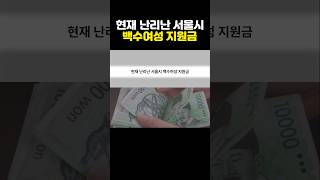 현재 난리난 서울시 백수여성 지원금