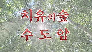 [에펙소스공유] 김천 치유의숲(천국)과 수도암의 곧추선 업힐(지옥)