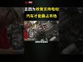 正因为政策支持，电动汽车才能霸占市场 shorts