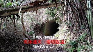 【南河内廃トンネル〈死体通天〉通ってみた】大阪府は千早赤阪村にあります　廃トンネル死体通天（堀切隧道）を通ってみました