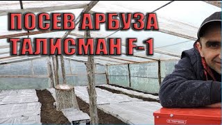 #2 Арбуз в теплице. Рассада Талисман F-1. 2019