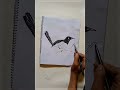 how to drawing a magpie in 38 second shorts