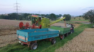 Farm Vlog #169 1. Schnitt Luzerne | Erntestart - Wintergerste 21 | Claas Dominator 85 im Einsatz