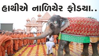 રામુ હાથીએ નાળિયેર ફોડયાં | Ramu Elephant @ Nilkanthdham