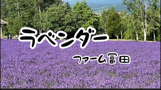 Hokkaido Nakafurano Lavender   北海道中富良野　ラベンダーが満開