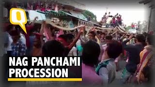 Devotees in Bihar Take Out ‘Snake Procession’ - The Quint