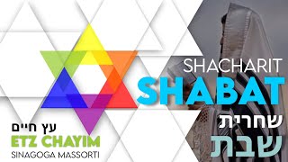 9h30 AO VIVO | SHABAT VAERAH 5785 - SERVIÇO MATINAL - Shacharit, Avodat Torah \u0026 Estudo da Parashah