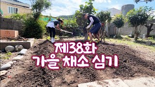 제38화 가을채소심기 👨‍🌾/귀촌일상/귀촌부부/시골집/텃밭가꾸기🥕