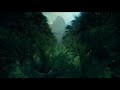 Jungle Palms HD