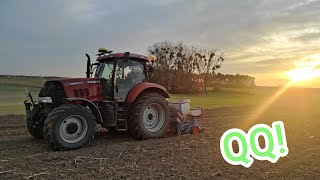 Sieję kukurydzę, której nie zamierzam pryskać! 🌱🌱🌱 Poszukiwane wąskie lacze!