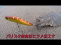 ヒラメ釣りは〇〇のある所を狙うと確率上がります【鹿島灘サーフ】