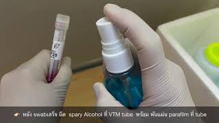 วิธีการทำ swab หอผู้ป่วยพิเศษ 2 รพ.เวชศาสตร์เขตร้อน