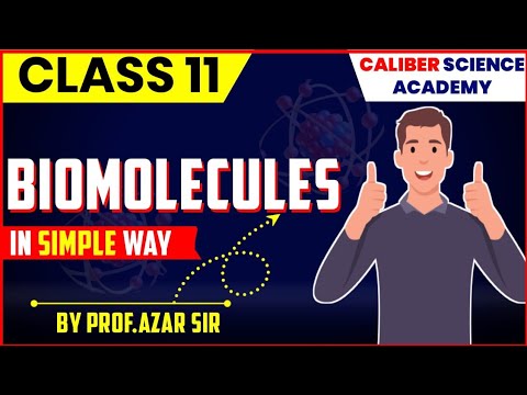 Biomolecules Youtube