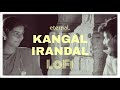 Kangal Irandal Lofi | Tamil Lofi | Subramaniapuram | James Vasanthan | eternaL