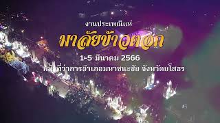 สปอตประชาสัมพันธ์ ...งานประเพณีแห่มาลัยข้าวตอก  ประจำปี 2566 (ภาษาอีสาน)