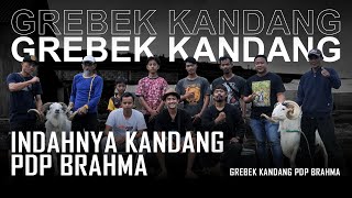 #grebekkandang - MANG AEP BANCET KAGET SAMA INDAHNYA KANDANG PDP BRAHMA - EPS 2