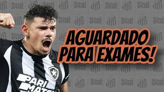 SANTOS INICIA TRABALHOS VISANDO A ESTREIA NO PAULISTA