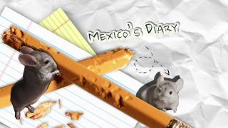 Mexico's Diary