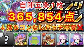 【落ちコンなしバッチ不要】ランキングダンジョンスクルド杯 365,854点 【ランダン】【パズドラ】