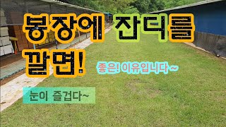 눈이즐거운! 양봉장 만들기 ~ /아카시아/꿀/양봉/토종벌