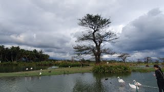 台灣開心農場  花蓮 Taiwan Happy Farm in Hualien | Traveler Ni