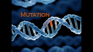Lecture 6: Mutation