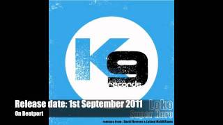 Loko - Super Hero (David Herrero Remix) // K9 Records