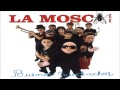 la mosca tsé tsé te quiero comer la boca