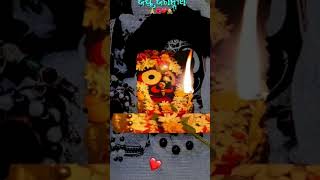 ଚକ୍ର ଆଢୁଆଳ କରି ରଖିଥୀଵ ମୋତେ 🙏🏻🌹ll Odia Jagannath bhajan ll odiabhajan ll Fullscreen status #shorts