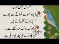 100 anmol batain motivational quotes golden words urdu quotes hindi quotes fs voice