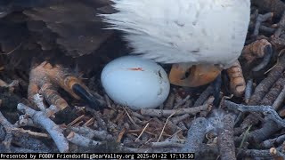 1-22-2025 It's Here! Jackie Has Laid Her First Egg Of The Season…At 17:05 This Evening