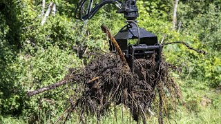 Lrrb Opera Demonstration Project The Otter Claw