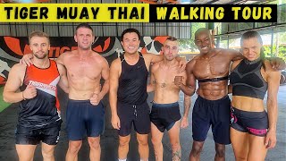 WALKING TOUR of Tiger Muay Thai (April 2023) | SE03E106