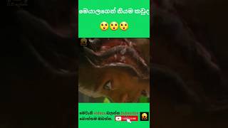 වැඩ්ඩෙක් Part(17)😱 කව්ද වැඩ්ඩා? 🤩#shortvideo #viralshort #respect #amzing #awesome #මේ #viral