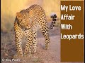 Leopard Love Affair {Extended Version}