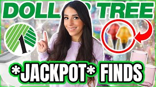 *JACKPOT* Dollar Tree FINDS you have to SEE! February 2025