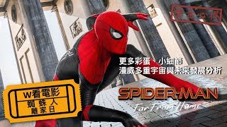 W看電影_蜘蛛人：離家日(Spider-Man: Far From Home, 蜘蛛俠：英雄遠征, 決戰千里)_重雷心得2