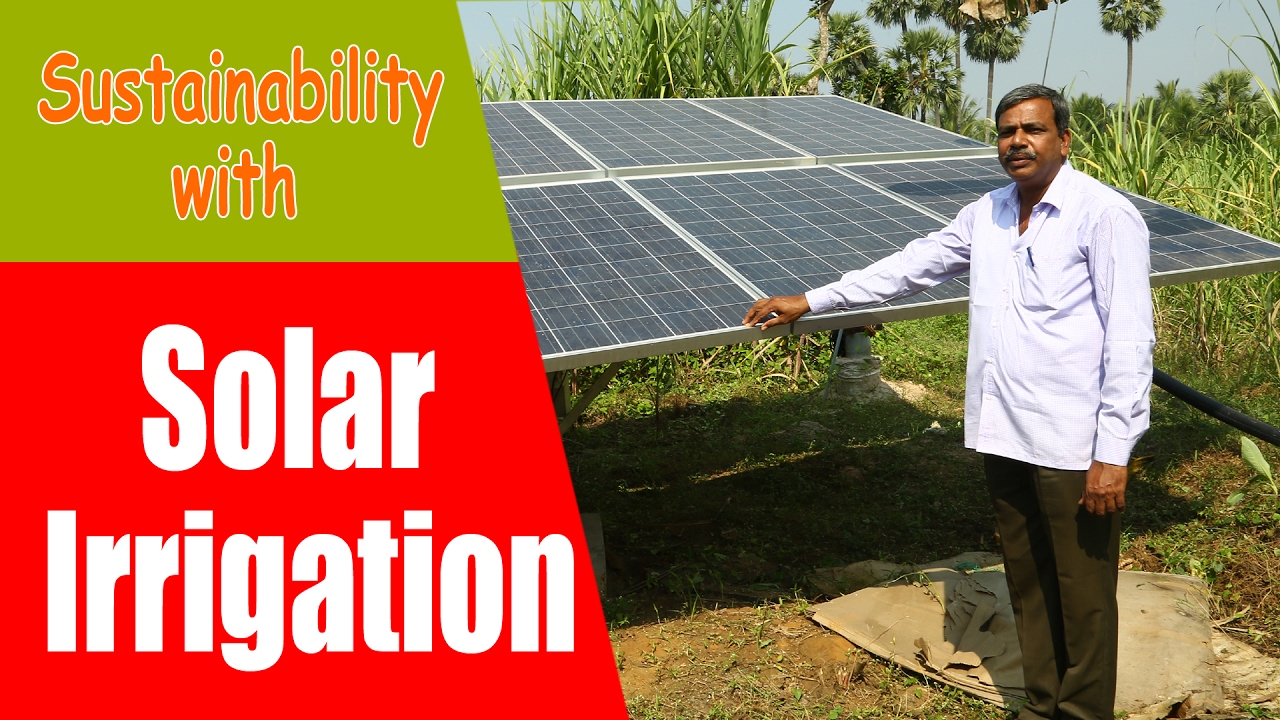 Solar Irrigation Pump Secret Behind Successful Agriculture Youtube