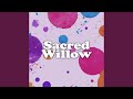 Sacred Willow