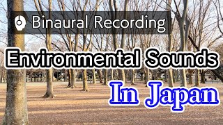 [Relaxing Binaural Ambient Sound] Everyday life in Japan | A park with a quiet sound of trees(小金井公園)