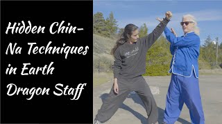Shaolin Kung Fu Master Uses Ancient Chin-Na Technique for Self Defense