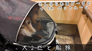 【1人と2匹旅】船旅編！神戸から大分へ