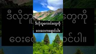 ဘူကောင်တွေဆို ဝေးဝေးကရှောင် #shortvideo #shorts #shortsfeed