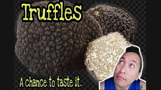 Truffles Where it came from and why is so expensive?