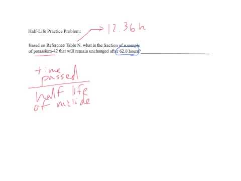 What fraction of a sample remains after 1 Half Life has past?