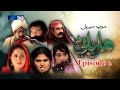 Sindh TV Soap Serial HARYANI- EP2 - 18-4-2017 - HD1080p -SindhTVHD