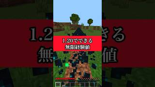 【マイクラ】1.20でできる無限経験値！？ #マイクラ #マインクラフト